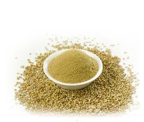 coriander powder