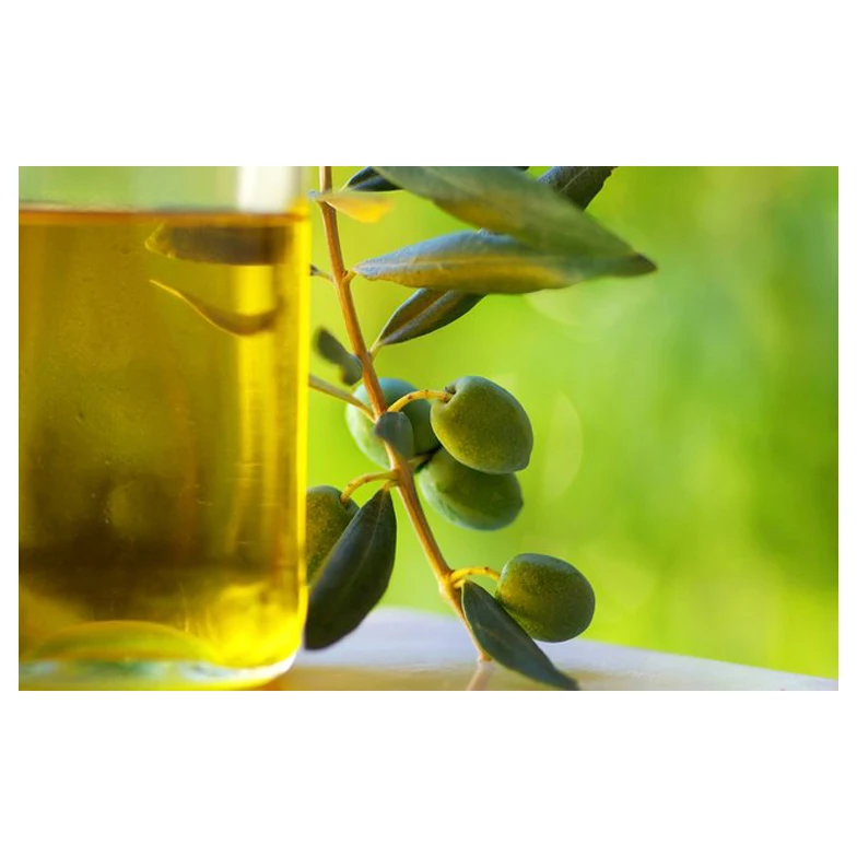 Bulk Natural Edible Plant Oils Manufacturer, Wholesale Tunisia Organic Olive Oil for Cooking |Extra Virgin, First-Cold Pressed