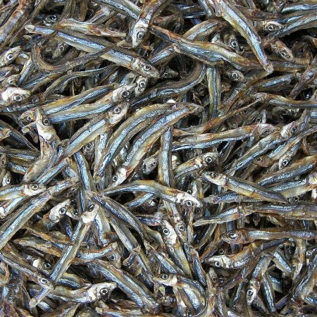 Hot Sales Whole Dried Anchovies for Snacks With Premium Quality from Vietnam