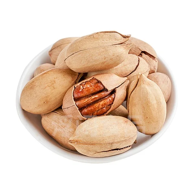 Pecan Nuts Top Quality Grade Raw Organic Fresh Crop nuts of pecan nuts