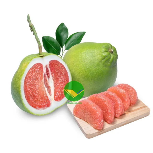 Exclusive Import Offer and Import with Confidence Fresh Pomelo Best Prices from Viet Nam for importer