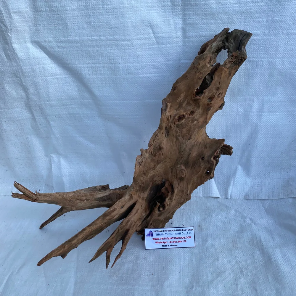 High quality Natural driftwood mangrove root and driftwood for aquarium decoration WhatsApp +84 963 949 178