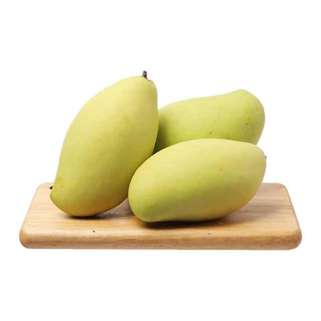 Fresh Mango 100% natural  from Vietnam with good price and best quality 2023 Cheap Price Fresh Fruit