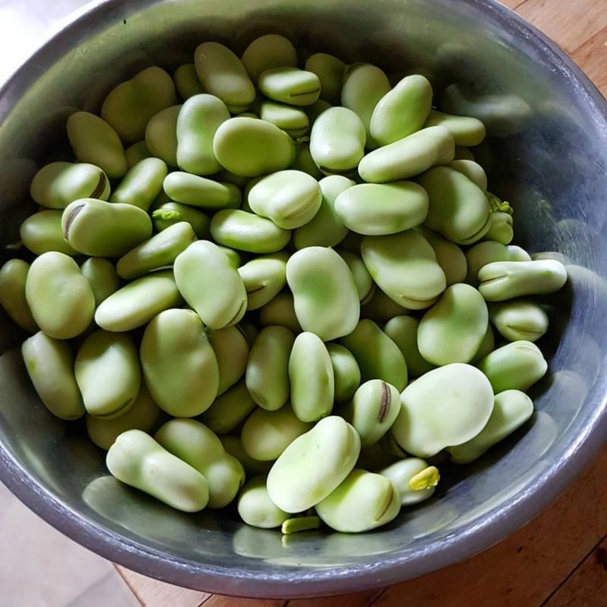 Fresh frozen organic broad beans at low wholesale price