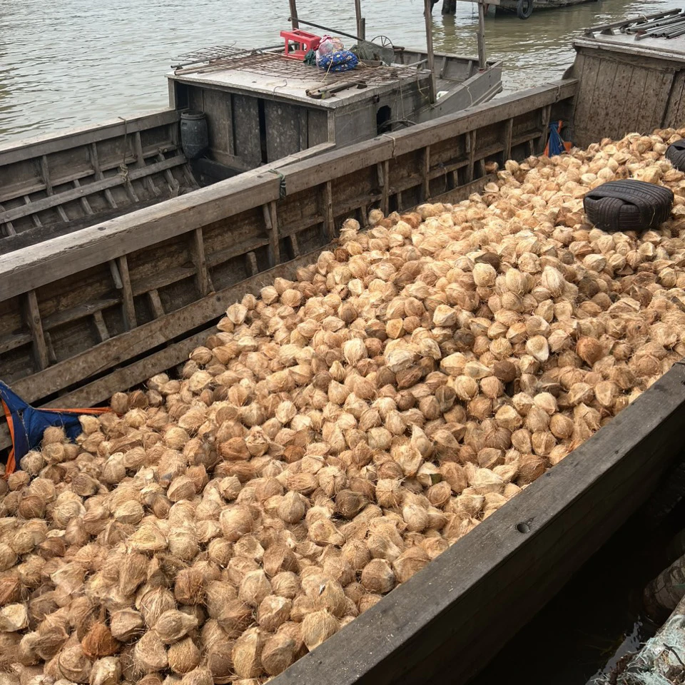 High Quality Semi Husked Coconut From Vietnam Hot Selling Brand Supplier Wholesaler Cheap Price