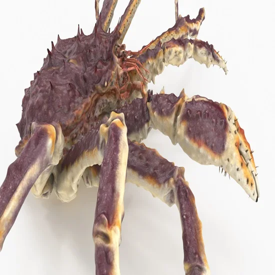 New Stock Available For Live King Crab / King Crab Clusters for Wholesale Prices from United States