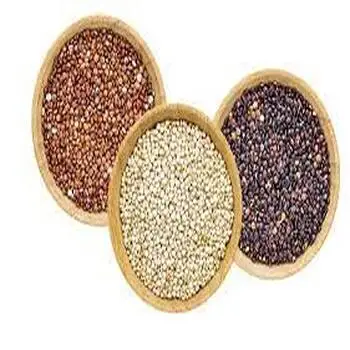 Pure Super food Red Quinoa  -  Organic Quinoa Seeds For Wholesale With Discounted Rates