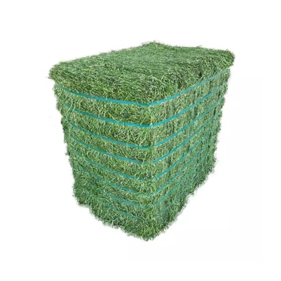 American Alfalfa Lucerne Hay for Animal Feed Cattle Horse Cow Chicken Pet Alfafa Hay Animal Feeding Stuff Alfalfa,