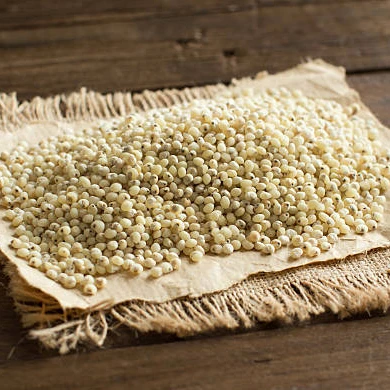 Indian Manufacturer of Top selling product Of 2022 Grain Sorghum Bulk White Sorghum at Affordable Price
