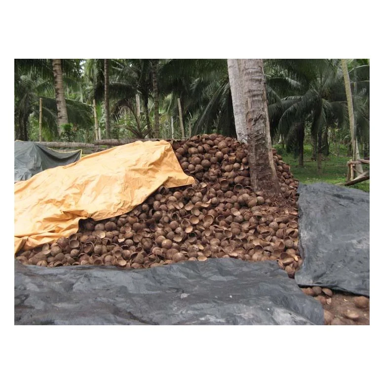 Wholesale Price Raw Coconut Shell Material Agriculture Waste Bulk Stock Available For Sale