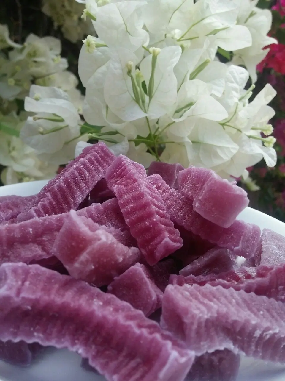 Оптовые продажи конфет Seamoss Gummies раскрывая добродетель природы в каждом укусе/морской мармеладке от 99GD