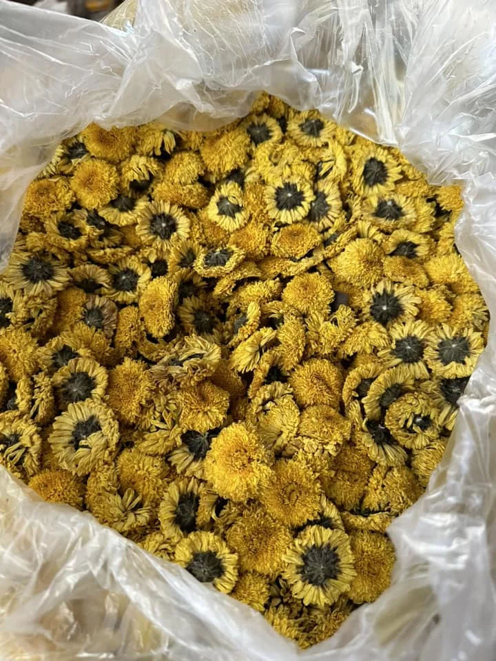 Dried flowers - Vietnam Dried Chamomile Flowers Edible Flowers