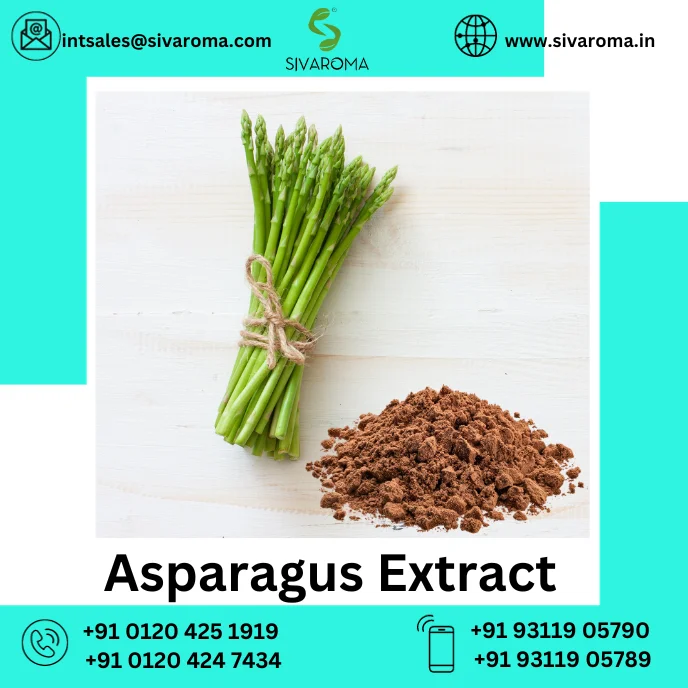 Asparagus Extract (MI).png
