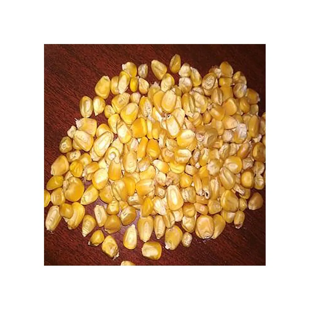 Yellow Corn & White Corn