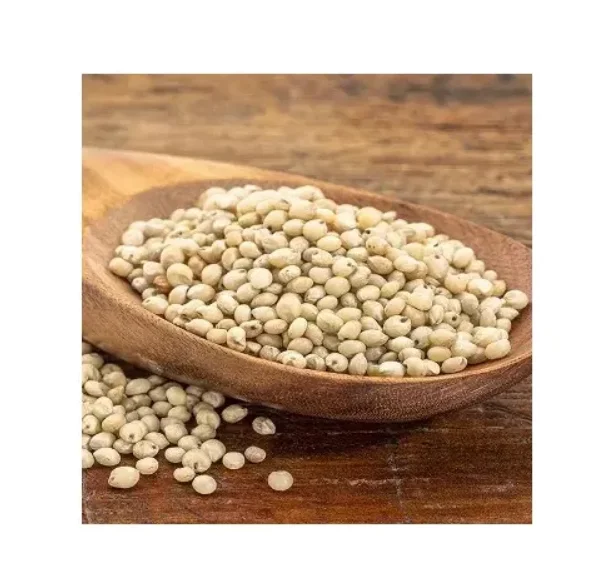 Премиум сорго зерна белого и красного цвета индийский сорго/белый красный высокого качества для продажи