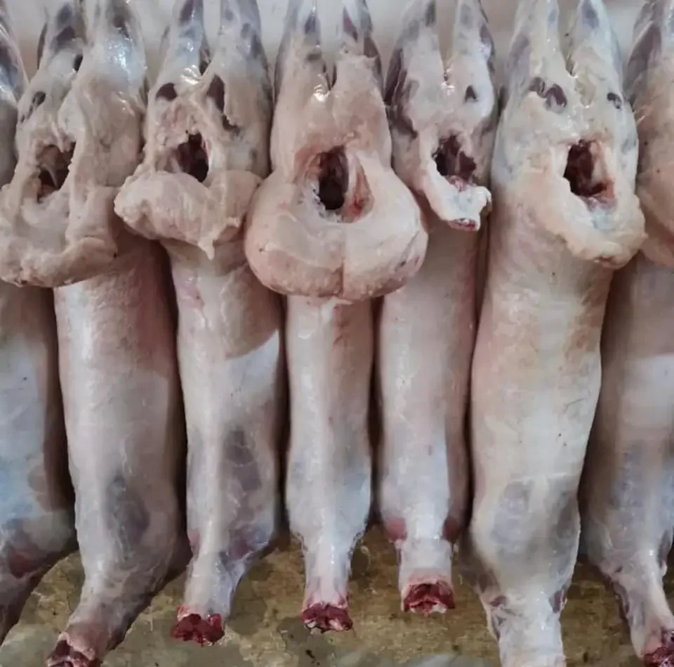 HALAL FROZEN LAMB WHOLE / GOAT MEAT / SHEEP / BONELESS GOAT / MUTTON