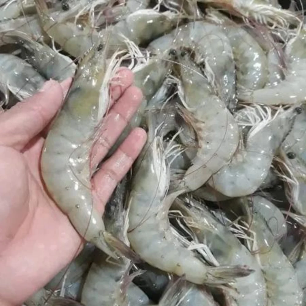 Hot Sale Seafood Frozen Vannamei Shrimps HLSO with Cheap Price Quality White Prawns for Export Bag Bulk Style