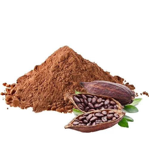 Best cocoa bean organic cocoa beans