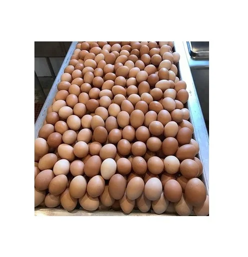 Hot Selling Fresh Brown/White Chicken Table Eggs for sale/Farm Fresh Chicken Table Eggs Brown