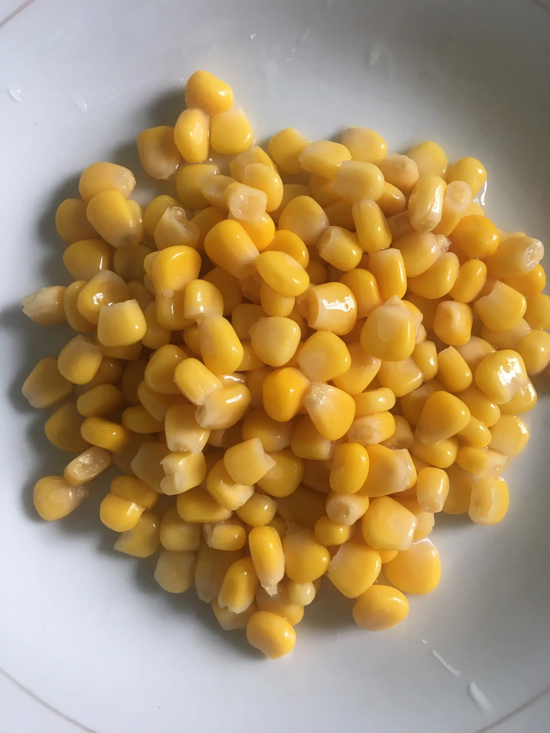 Best Price Freshly Packed Canned Whole Kernel Sweet Corn for Convenient Meal Preparation