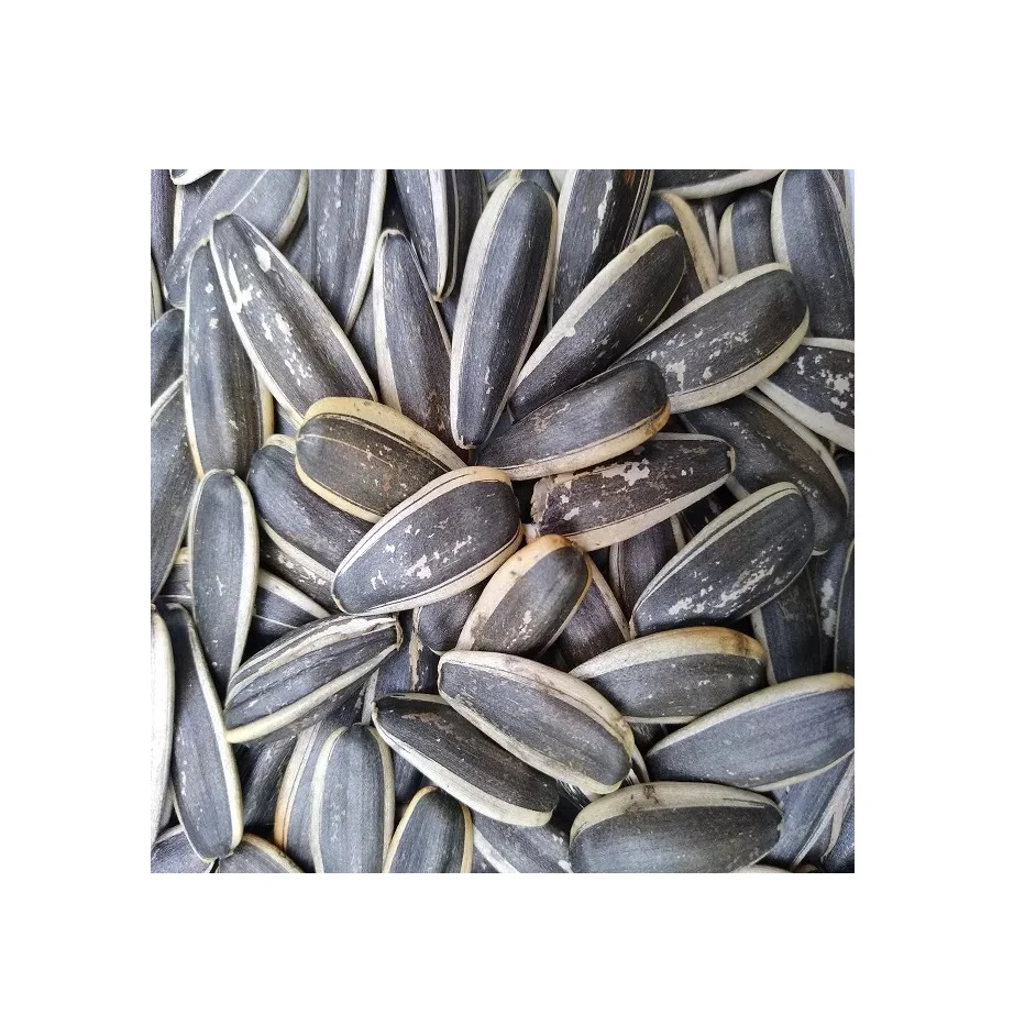 Factory Direct Sales, Healthy Pure Natural Vegetable Nuts, Newest Harvest Organic Sunflowers Wholesale