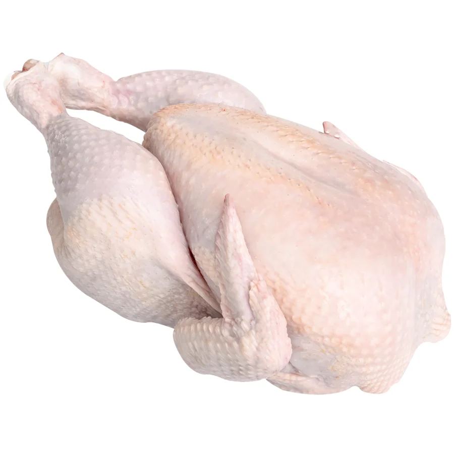 Canada Best Halal Whole Frozen Chicken For Export / Chicken breast , Chicken Legs, Chicken Drumstick