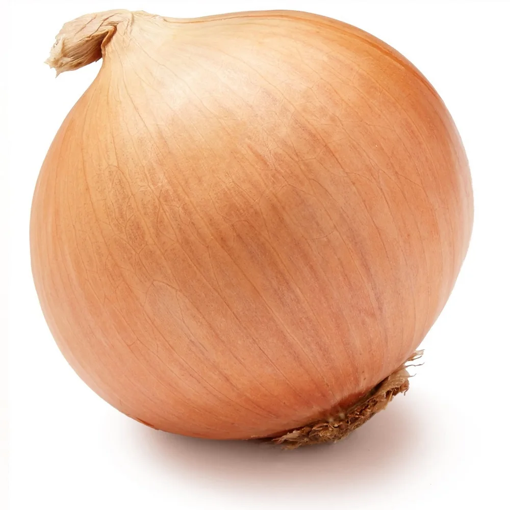 New Crop Premium Fresh White onions(Premium Quality Fresh Onion)