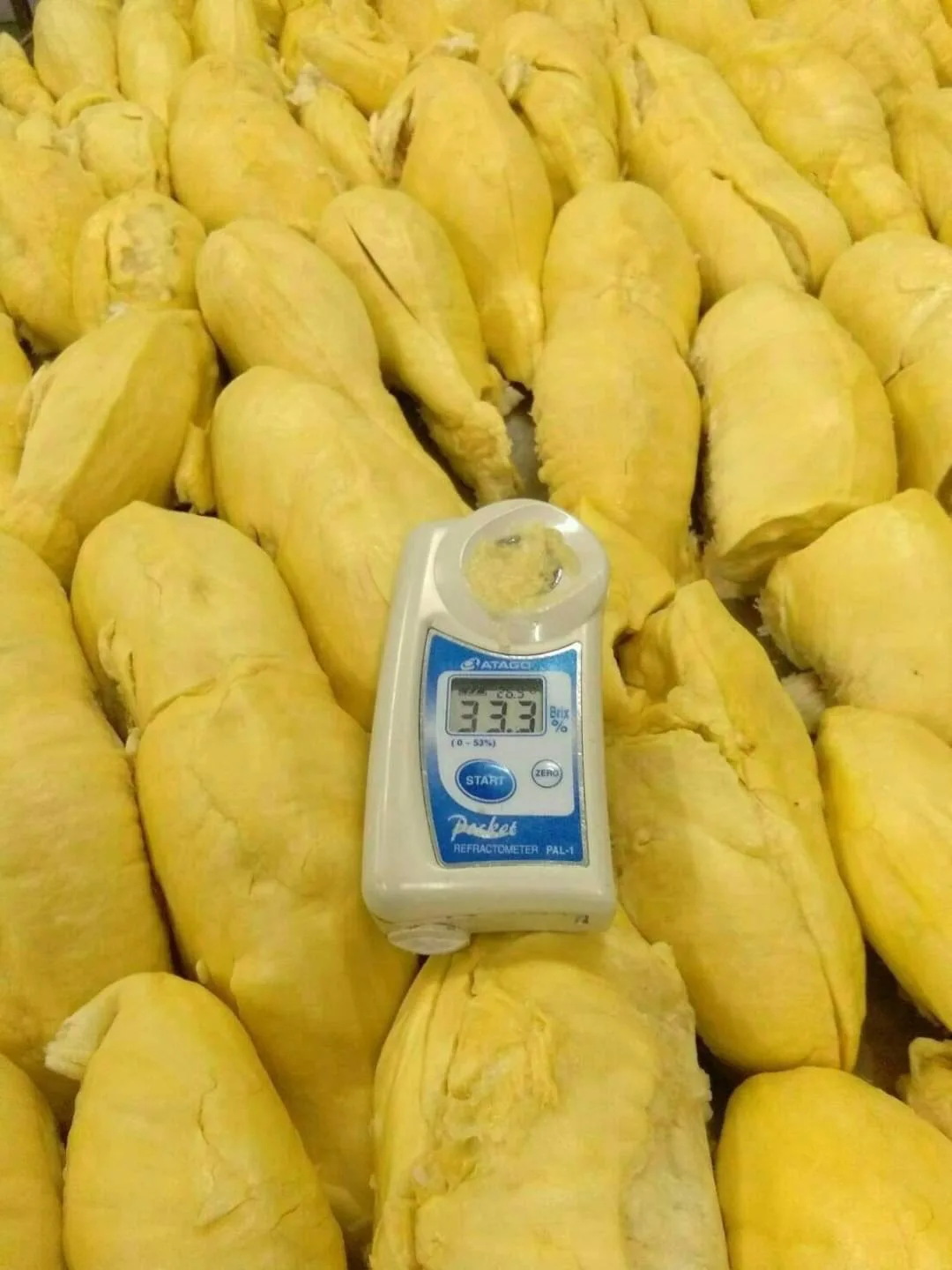 Натуральные Сладкие Замороженные дуриан монтонг дуриан из таиланда высокое качество сушеные заморозки фруктов продукты