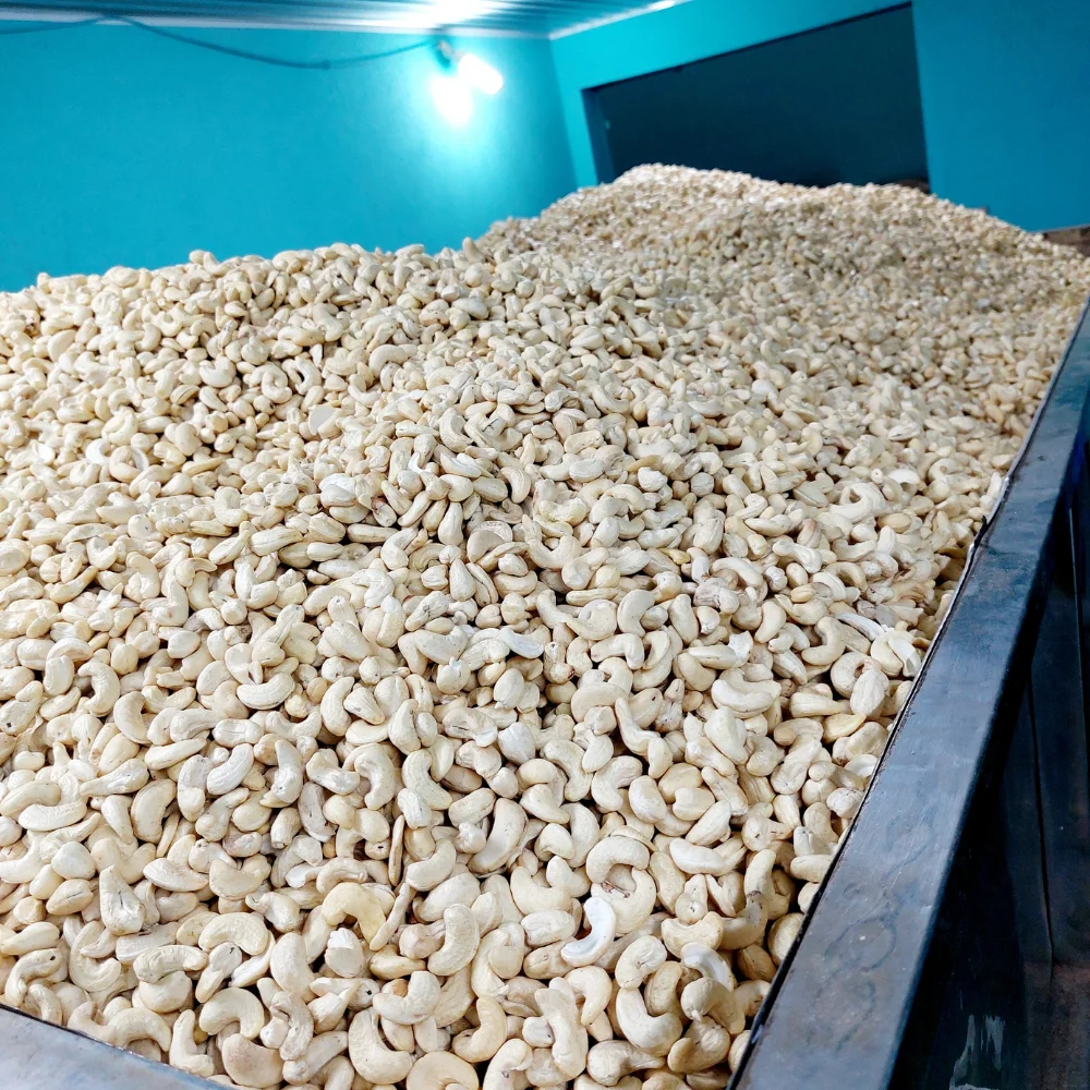Hot Sale Cashew Nuts Raw Cashew Nuts Cashew Nuts Price In India Factory Price
