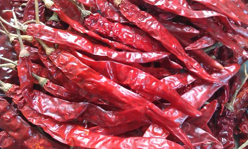 Bulk Purchase Whole Natural Dried Chilli Top Grade Indian Spices & Herbs Products Buy From India at Wholesale