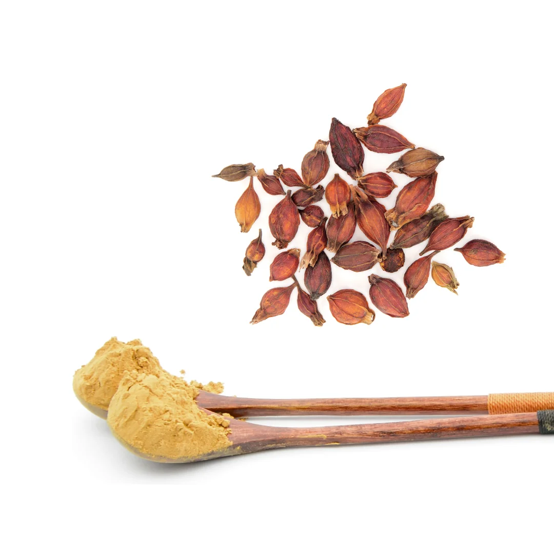 100% Natural Food Colors Saffron Gardenia Yellow Color Gardenia Yellow Herbal Extract