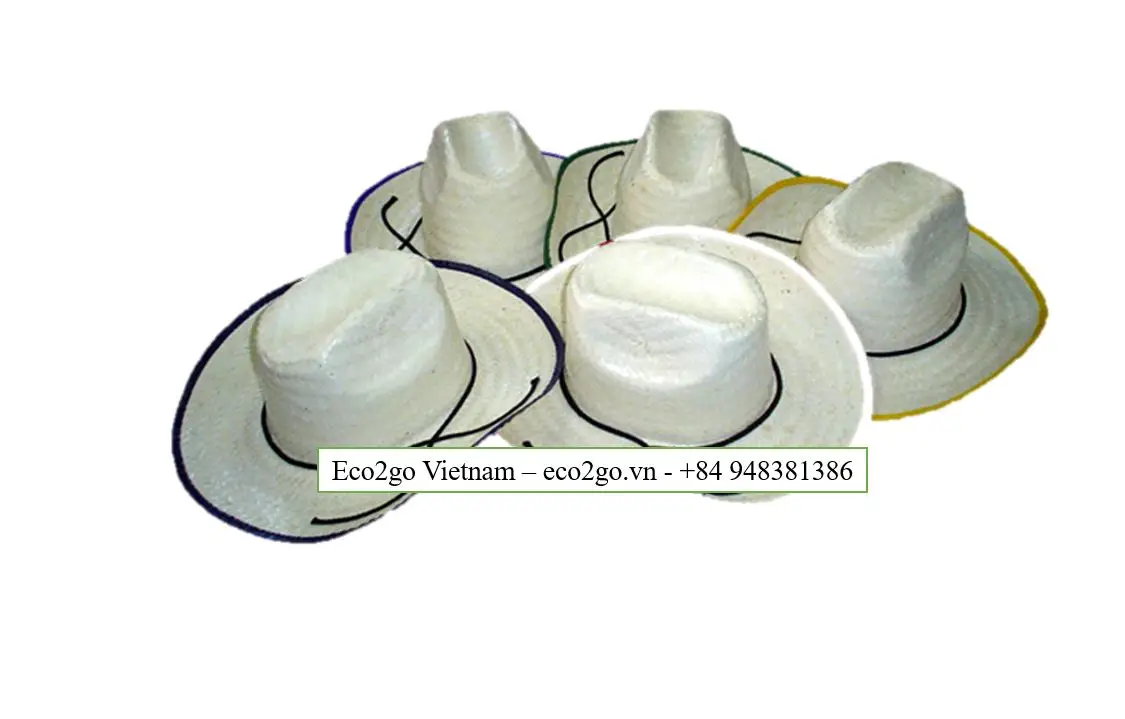 The Cheapest Price Natural Panama Straw Hat Summer For Women With High Quality Material and 100% Handmade For Traveling Summer