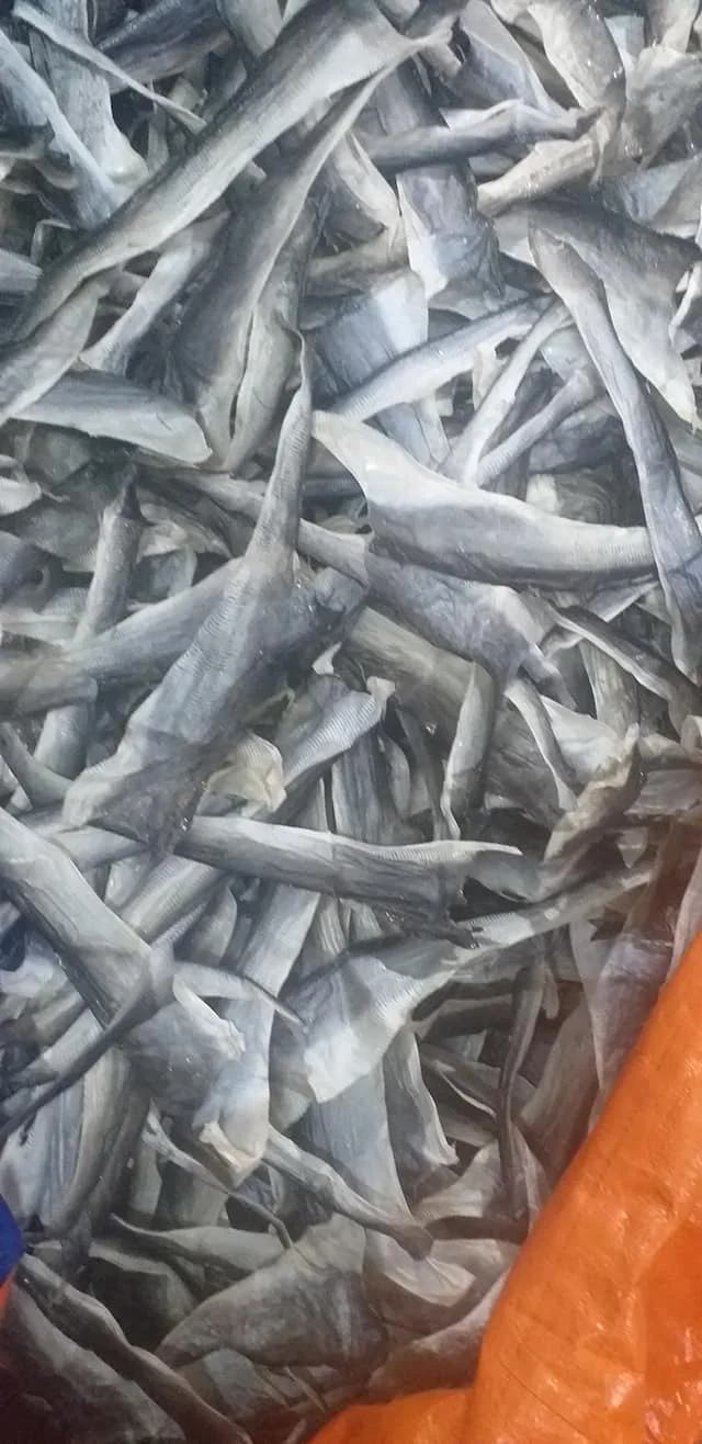 Dried Catfish Skin For Snack Dried Pangasius Fish Skin For Collagen Production 0084971886886