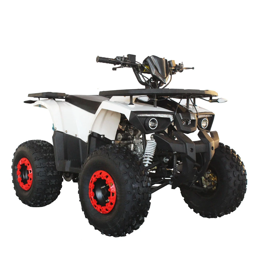 Popular ATV Quad 250cc Quad Bike best design diesel power engine with automatic brake transmission chain drive power engine