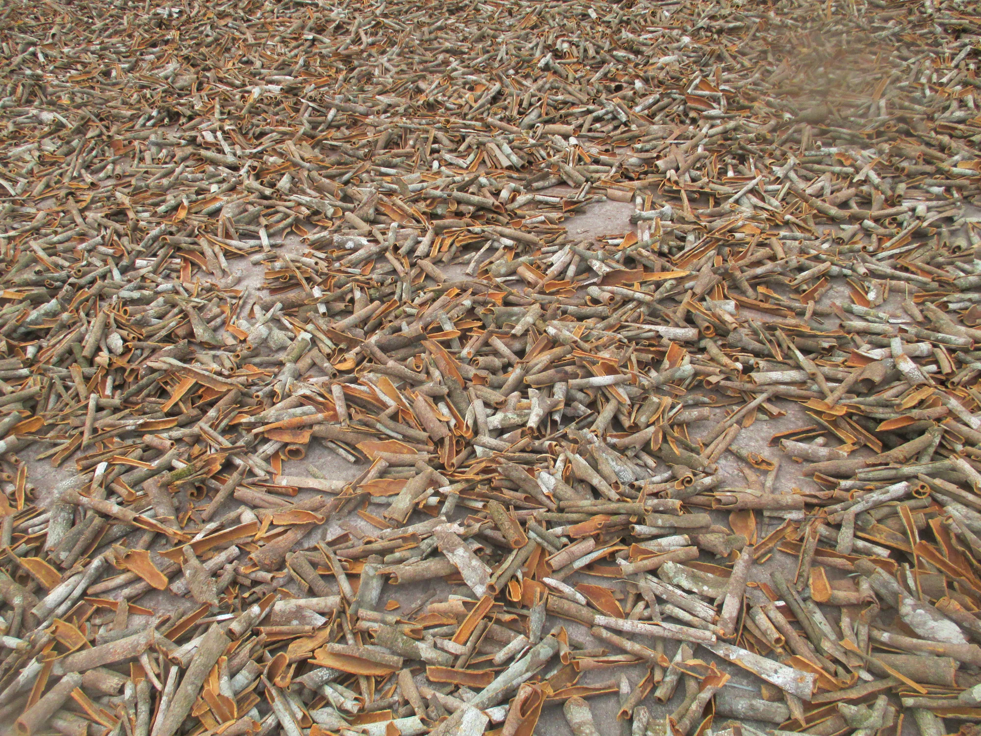 Cinnamon Bark Broken/ Cortex Cinnamomi/ Cinnamon Cassia ( WA: 0084366808683)