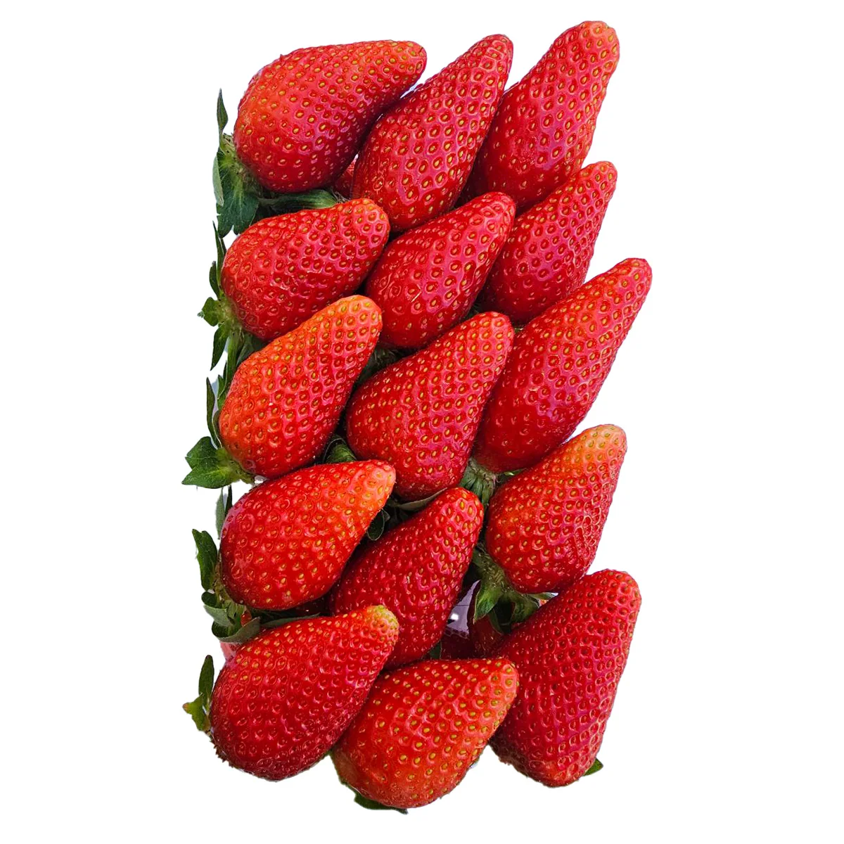 Deliciuos fresh strawberry 100% natural reliable supplier fresh strawberry for sale