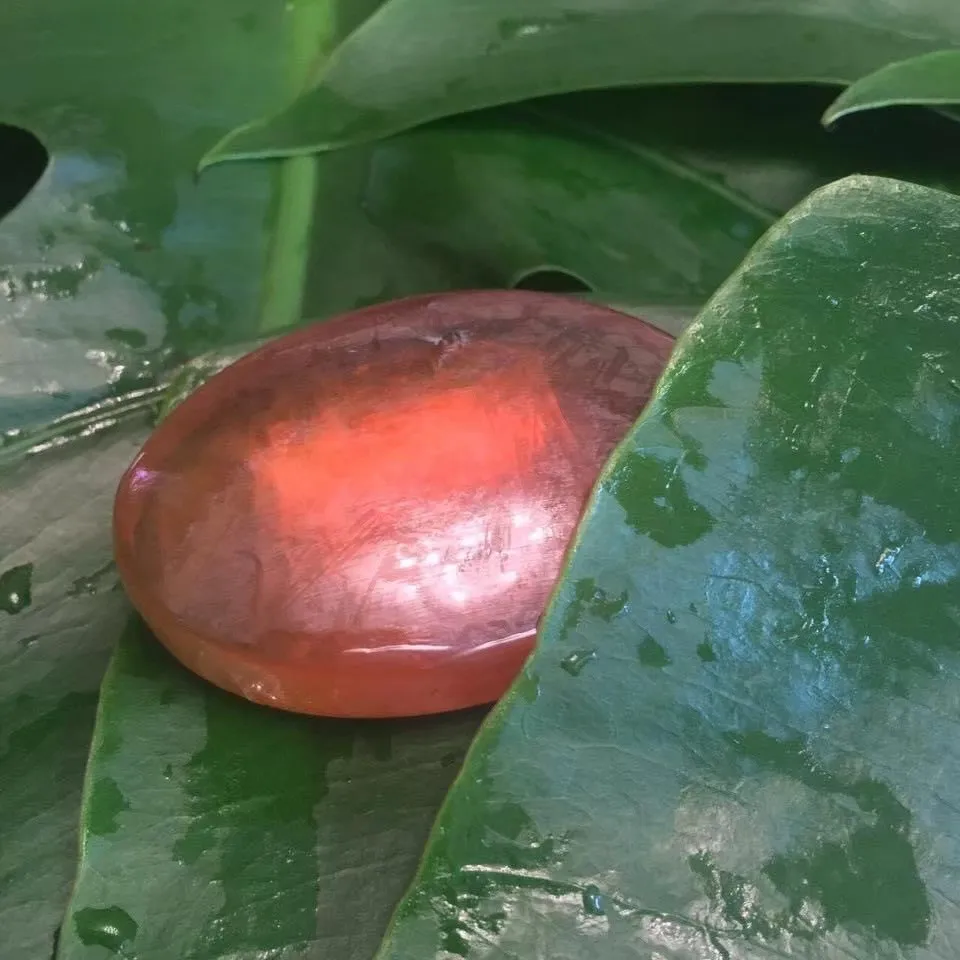 Soap OEM Private Label Herbal Soap Whitening Soap Unisex Good Quality Products Thailand Product Best Seller