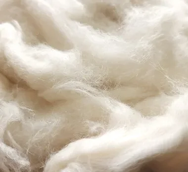 High Quality 100% Pure Vietnam Factory Cotton Comber Noil for Sale in Bulk Quantity Contact Us( Ms. Xavia +84333371330 )