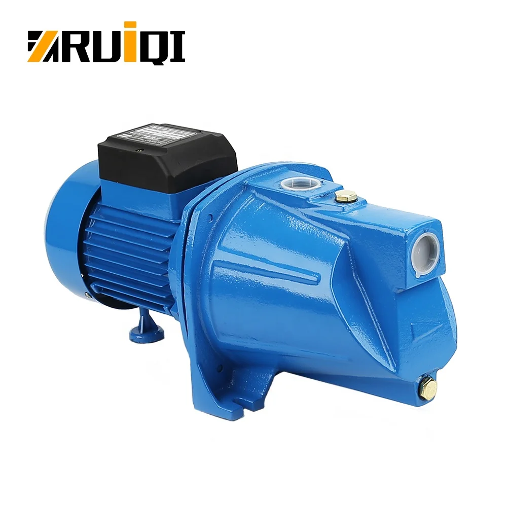 RUIQI Low-priced High Quality Electric Self-Priming Jet water pump 1HP JSP 355A/50 agricultural Water pump garden pump home use