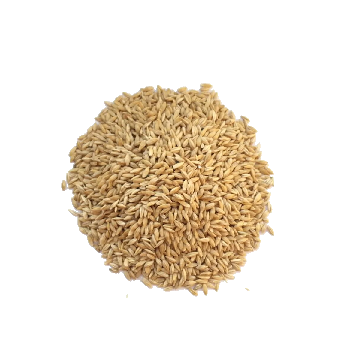 Agricultural product Natural Crop Seed Cereals for Eating