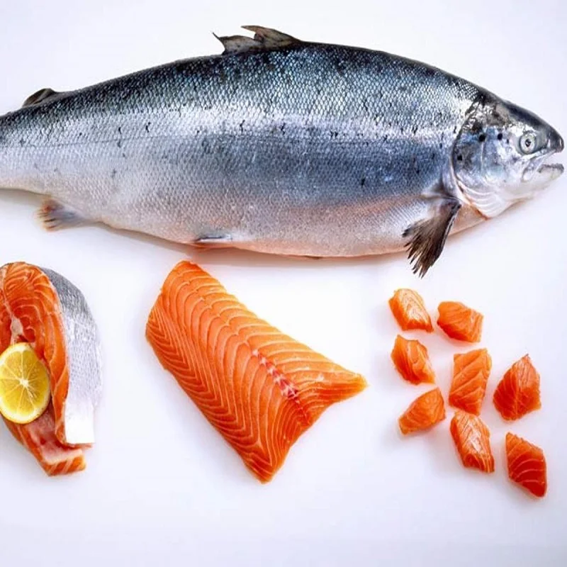 Premium quality Frozen Salmon fish available for sale at cheap prices .