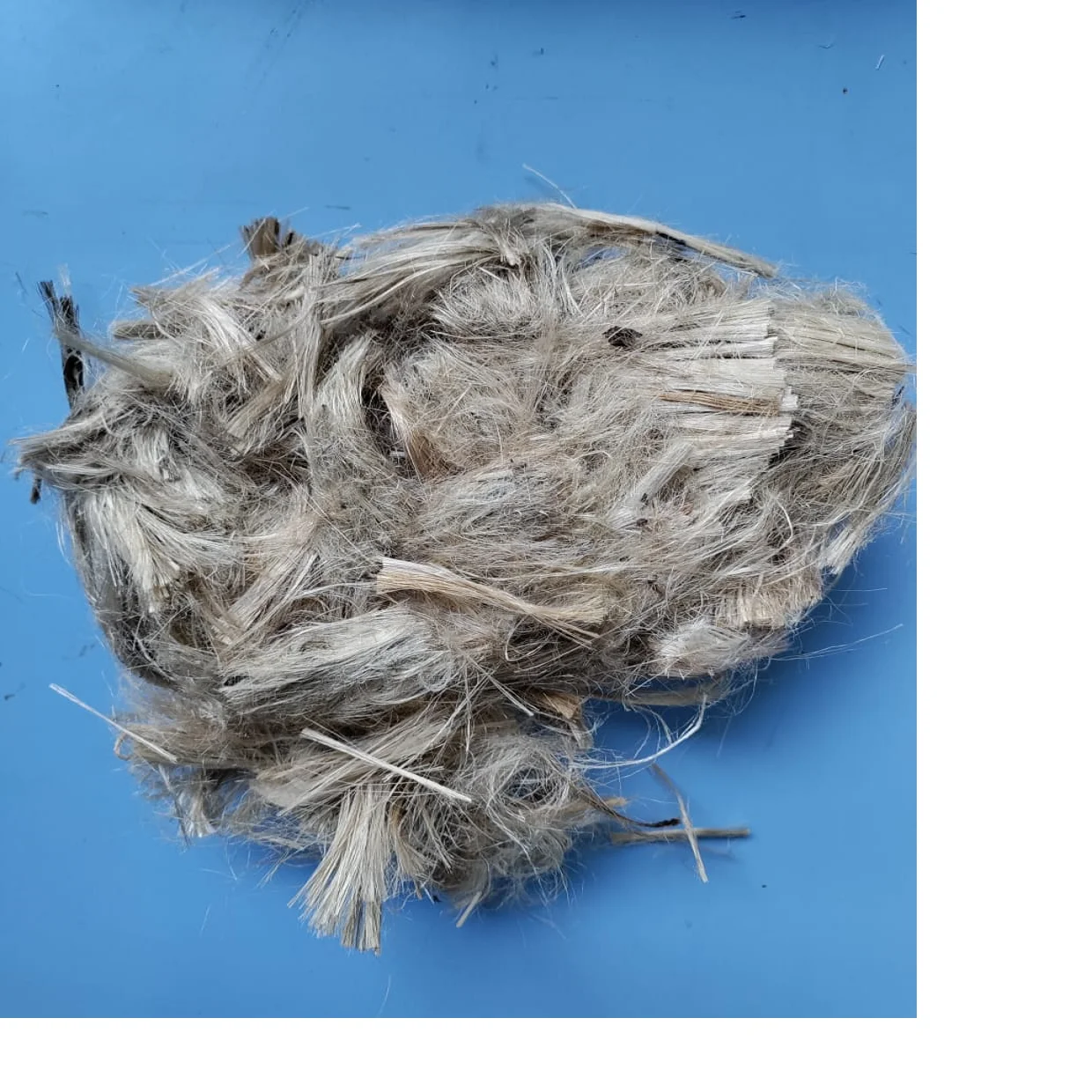 cut hemp fibers in size 50 mm suitable for textile spinning and weaving made from 100% natural hemp (10000007843252)