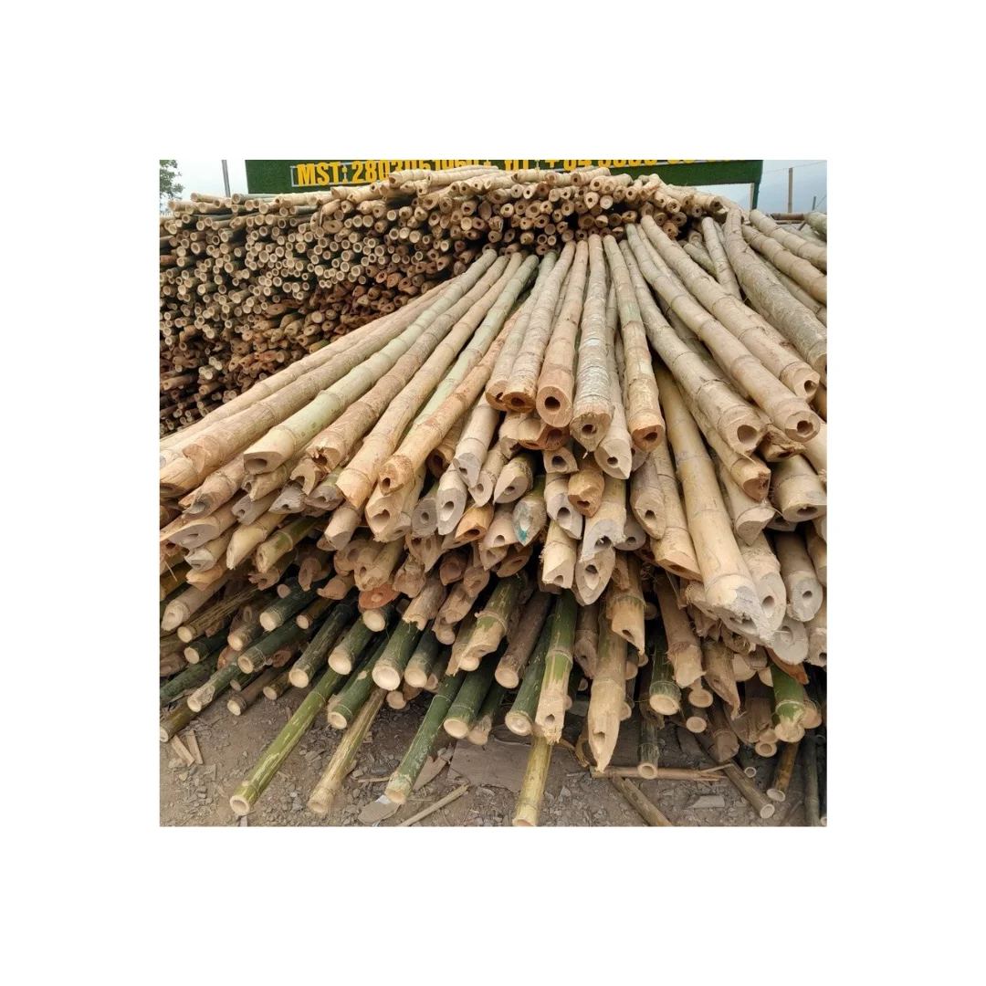 Cost-effective Custom Size Pure Natural Dry Bamboo Pole for Construction From Supplier Vietnam With Competitive Price