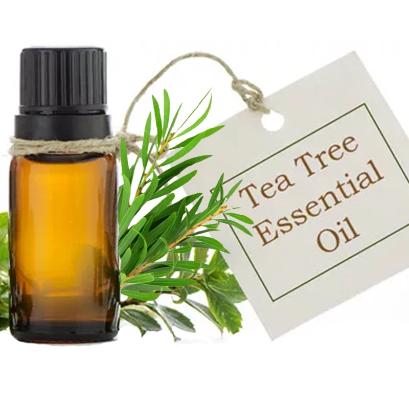 Premium Quality Tea Tree Essential Oil For Skin Natural Aroma Oil Pure Organic Massage Essential Oils