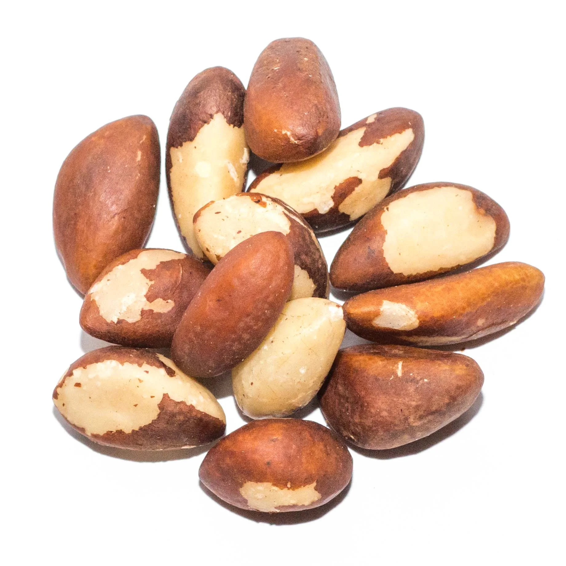 Premium Quality Brazilian Nuts - Fresh and Natural - High in Protein, Fiber, and Healthy Fats