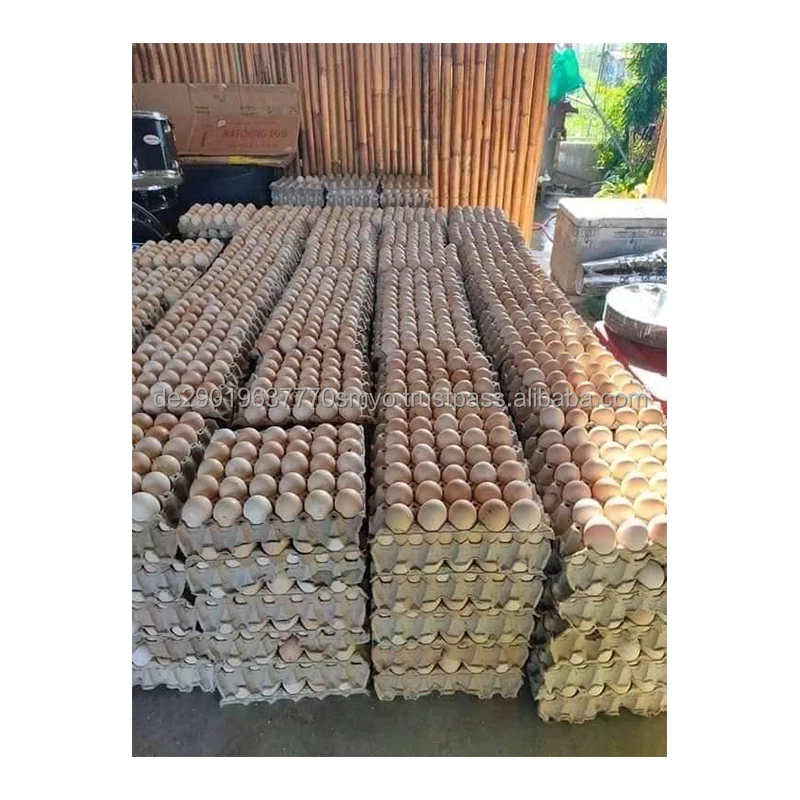 eggggs.jpg