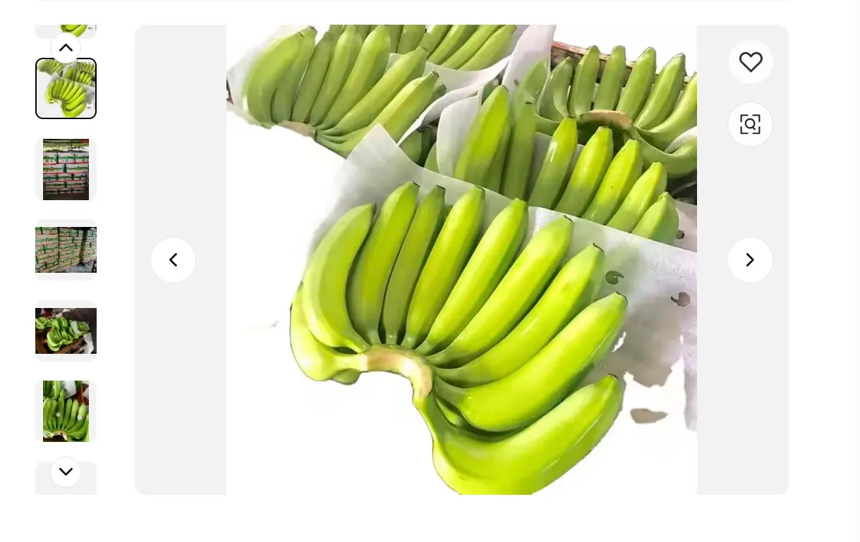 Cavendish Banana / Fresh Green Banana / Fresh Fruit And Vegetables From Vietnam