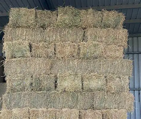 Хит продаж органическое сено из люцерны травяное Тимоти Сено корм для животных на продажу