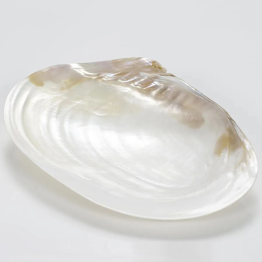 Luxurious caviar serving dish and spoon set wholesale factory price polished natural mother of pearl flatware