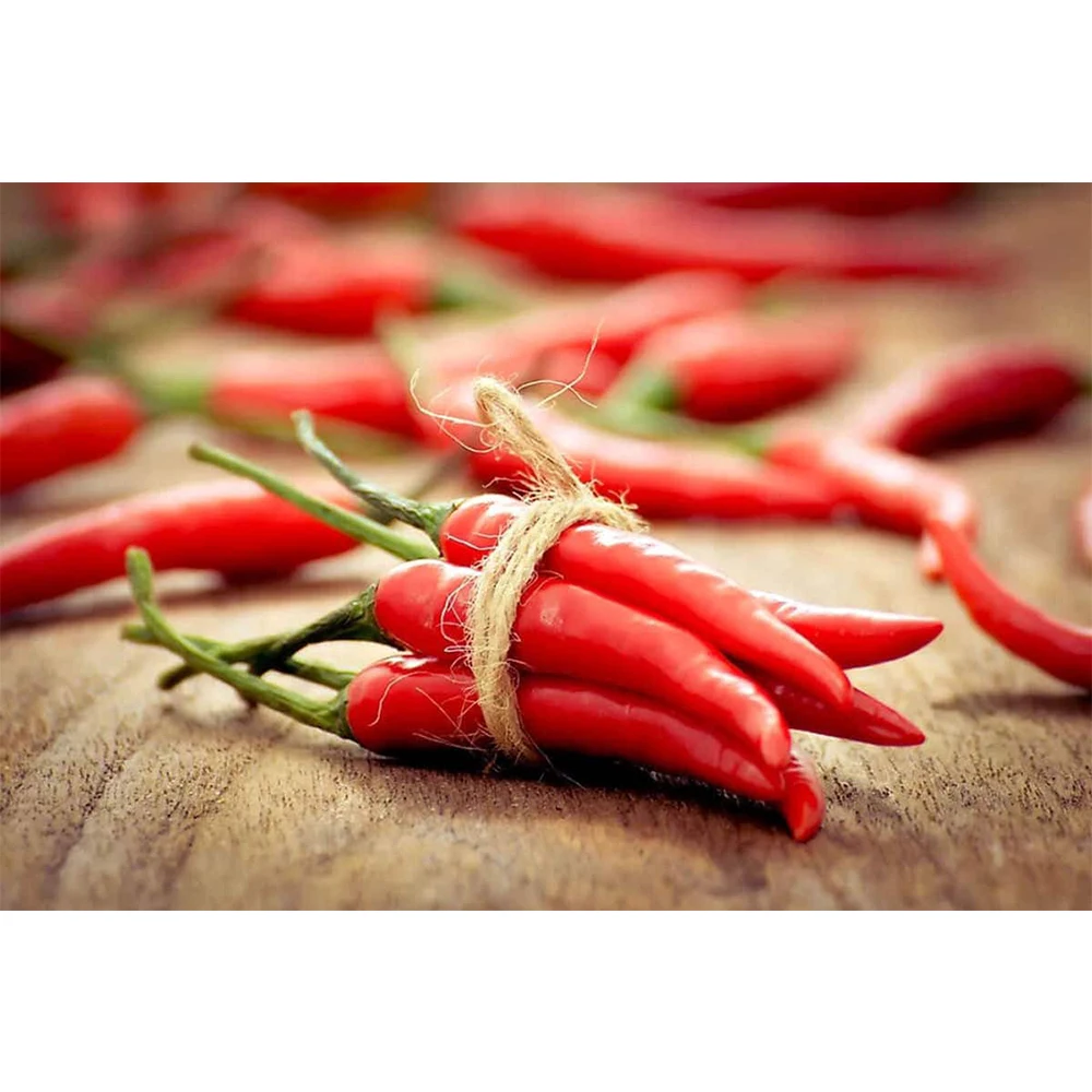 Fresh Chilli Agricultural Products Organic Products Chili Manufacturer Using For Food Daily Made In Vietnam